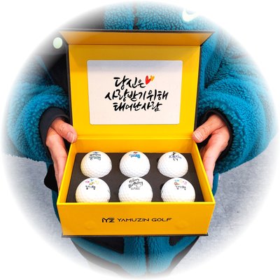 타이틀리스트 prov1 6구 커스텀 선물 세트 골프공 인쇄 홀인원 생일 퇴직 기념볼 각인