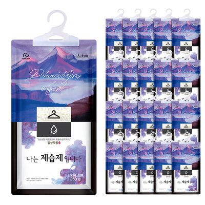 홈트너 제습제 옷장제습제 습기제거제 옷걸이형 250g, 20개