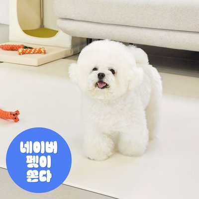 [러그140x180cm] 디팡 4mm 펫 미끄럼방지 강아지 고양이 애견매트 슬개골 반려견