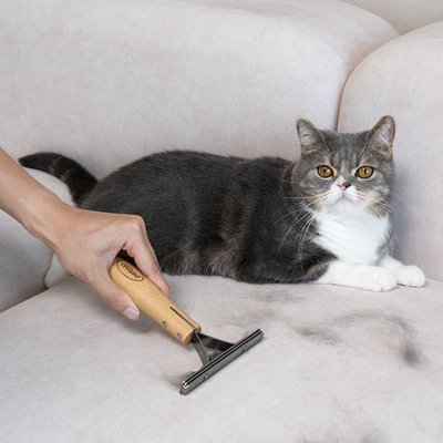 펫펍 쓱싹스크래퍼 고양이털제거기 옷먼지제거기 집 먼지 제거 청소