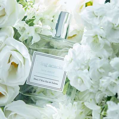 아카시아 향수 라잉 아카시아 Lying acacia 50ml