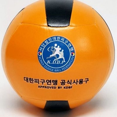 소프트 피구공 훈련용 학교 체육공 레크레이션 스포츠 안전 실내
