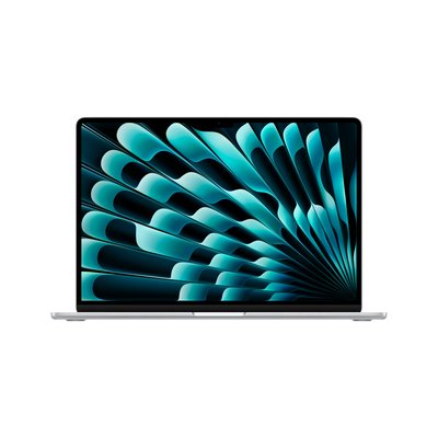 애플 맥북에어 13 M5 CPU 10코어 GPU 10코어 16GB, 1TB, 실버